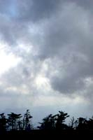 Life is difficult. Photo of stormy day by Carl Benedict.